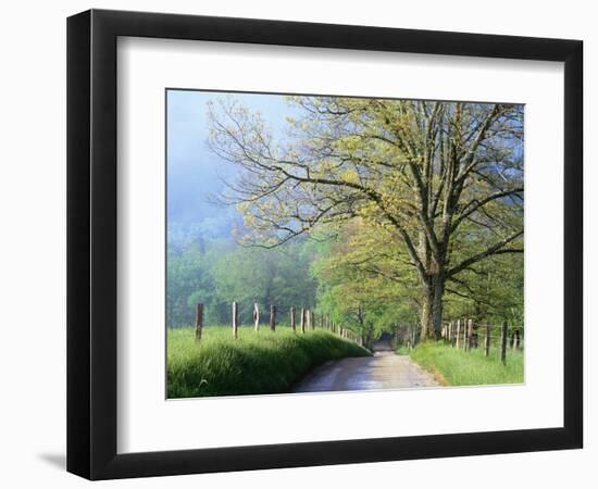 Cades Cove Lane in Great Smoky Mountains National Park-Darrell Gulin-Framed Premium Photographic Print