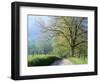 Cades Cove Lane in Great Smoky Mountains National Park-Darrell Gulin-Framed Premium Photographic Print