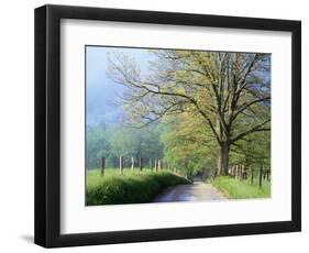 Cades Cove Lane in Great Smoky Mountains National Park-Darrell Gulin-Framed Premium Photographic Print