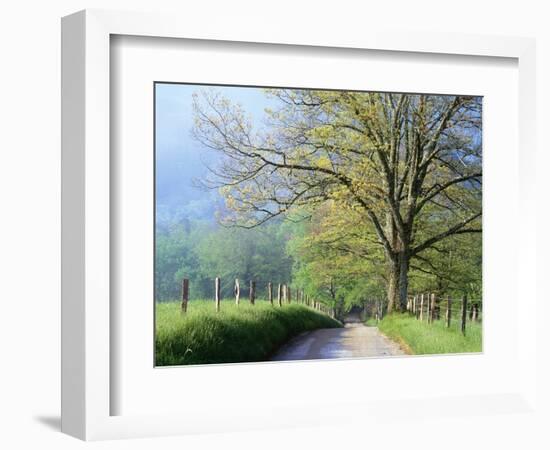 Cades Cove Lane in Great Smoky Mountains National Park-Darrell Gulin-Framed Premium Photographic Print