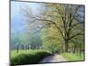 Cades Cove Lane in Great Smoky Mountains National Park-Darrell Gulin-Mounted Photographic Print