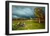 Cades Cove Rainbow-Spencer Williams-Framed Giclee Print