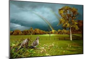 Cades Cove Rainbow-Spencer Williams-Mounted Giclee Print