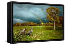 Cades Cove Rainbow-Spencer Williams-Framed Stretched Canvas