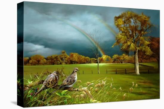 Cades Cove Rainbow-Spencer Williams-Stretched Canvas