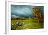 Cades Cove Rainbow-Spencer Williams-Framed Giclee Print