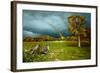 Cades Cove Rainbow-Spencer Williams-Framed Giclee Print