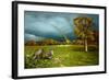 Cades Cove Rainbow-Spencer Williams-Framed Giclee Print