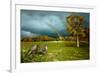 Cades Cove Rainbow-Spencer Williams-Framed Giclee Print