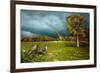 Cades Cove Rainbow-Spencer Williams-Framed Giclee Print