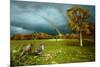 Cades Cove Rainbow-Spencer Williams-Mounted Giclee Print