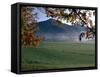 Cades Cove-J.D. Mcfarlan-Framed Stretched Canvas