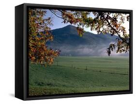 Cades Cove-J.D. Mcfarlan-Framed Stretched Canvas