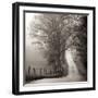 Cades Cove-Nicholas Bell-Framed Photographic Print