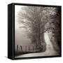 Cades Cove-Nicholas Bell-Framed Stretched Canvas