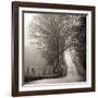 Cades Cove-Nicholas Bell-Framed Photographic Print