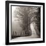 Cades Cove-Nicholas Bell-Framed Photographic Print