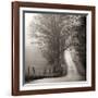 Cades Cove-Nicholas Bell-Framed Photographic Print