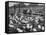 Cadets and a Cowboy Sitting on a Fence in a Stockyard Crowded with Cattle-null-Framed Stretched Canvas