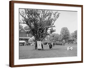 Cadets Drilling, U.S. Naval Academy-null-Framed Photo