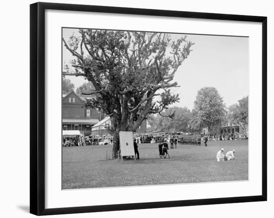 Cadets Drilling, U.S. Naval Academy-null-Framed Photo
