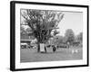 Cadets Drilling, U.S. Naval Academy-null-Framed Photo