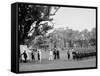 Cadets Drilling, U.S. Naval Academy-null-Framed Stretched Canvas