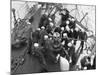 Cadets Raising the Anchor Aboard the Sorlandet in the English Channel, June 1952-null-Mounted Photographic Print