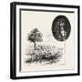 Cadham Hall and the Portrait of Samuel Butler, UK-null-Framed Giclee Print