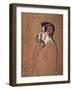 Cadieux, Cafe-Concert Actor-Henri de Toulouse-Lautrec-Framed Giclee Print