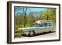Brown Frame