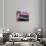 Cadillac Encountered-Richard James-Stretched Canvas displayed on a wall