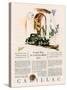 Cadillac, Magazine Advertisement, USA, 1928-null-Stretched Canvas