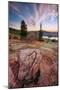 Cadillac Mountain Beauty-Vincent James-Mounted Photographic Print