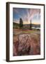 Cadillac Mountain Beauty-Vincent James-Framed Photographic Print