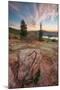 Cadillac Mountain Beauty-Vincent James-Mounted Photographic Print