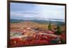 Cadillac Mountain Fall Scenic, Maine-George Oze-Framed Photographic Print