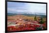 Cadillac Mountain Fall Scenic, Maine-George Oze-Framed Photographic Print