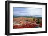 Cadillac Mountain Fall Scenic, Maine-George Oze-Framed Photographic Print