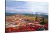 Cadillac Mountain Fall Scenic, Maine-George Oze-Stretched Canvas