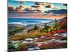 Cadillac Mountain-James Griffiths Photography-Mounted Photographic Print