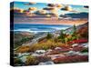 Cadillac Mountain-James Griffiths Photography-Stretched Canvas