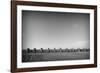 Cadillac Ranch 3-John Gusky-Framed Photographic Print