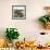 Cadix (Spain), Fishing Boats in the Port-Leon, Levy et Fils-Framed Photographic Print displayed on a wall