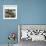 Cadix (Spain), Fishing Boats in the Port-Leon, Levy et Fils-Framed Photographic Print displayed on a wall