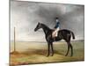 Cadland', 1830-John E. Ferneley-Mounted Giclee Print