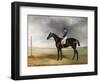 Cadland', 1830-John E. Ferneley-Framed Giclee Print