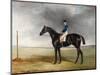 Cadland', 1830-John E. Ferneley-Mounted Giclee Print