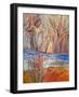 Cadmium Winter Solstice I-Dorothy Fagan-Framed Art Print