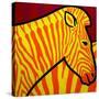 Cadmium Zebra-John Nolan-Stretched Canvas